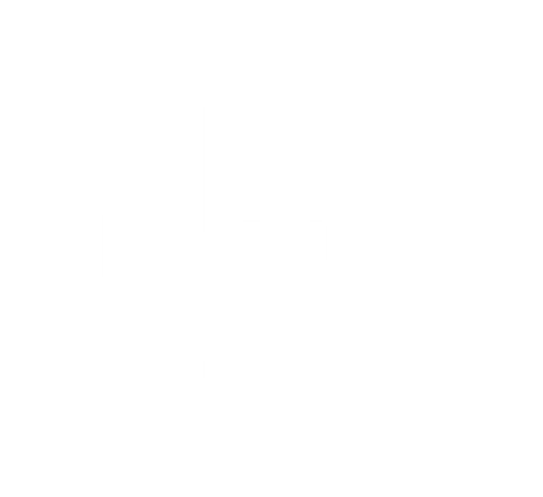 Plug